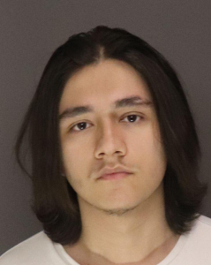 Brandon Levitt a registered Sex Offender of New York