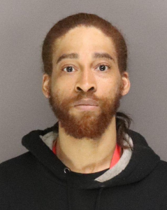 Ronald Rivers a registered Sex Offender of New York