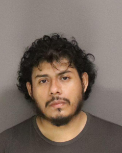 Rovane Matilde a registered Sex Offender of New York