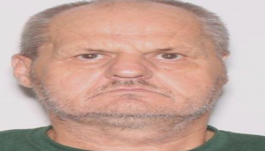 David A Barnes a registered Sexual Offender or Predator of Florida