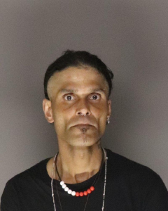 Eriverto Martinez a registered Sex Offender of New York
