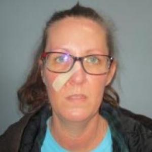 Susan Ann Galler a registered Sex Offender of Missouri