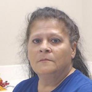 Tiffani Lyn Mickey a registered Sex Offender of Missouri