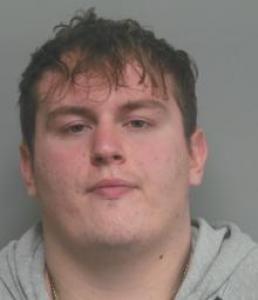 Ryan Paul Larkin a registered Sex Offender of Missouri