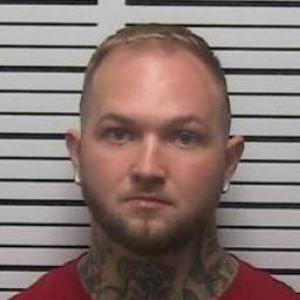 Austin Eric Luye a registered Sex Offender of Missouri