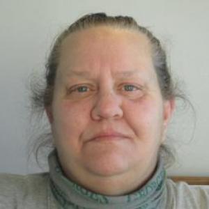 Cynthia Ann Stidham a registered Sex Offender of Missouri