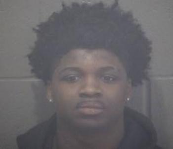 Damian Dasean Williams a registered Sex Offender of Missouri