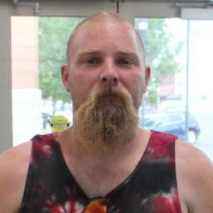 Bryan Christopher Rohman a registered Sex Offender of Missouri