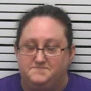 Elizabeth Ann Johnson a registered Sex Offender of Missouri