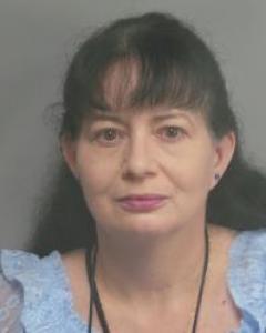 Donna Sue Cinnamon a registered Sex Offender of Missouri