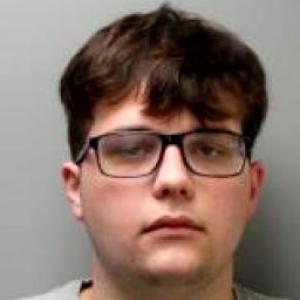 Alex Micah Scholl a registered Sex Offender of Missouri