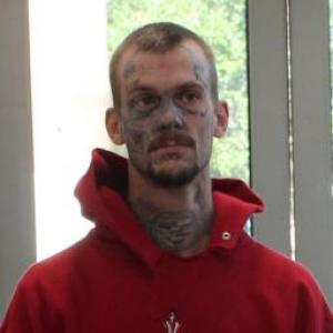 Christopher Marc Elia a registered Sex Offender of Missouri