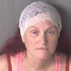 Vikki Michellee Johnson a registered Sex Offender of Missouri