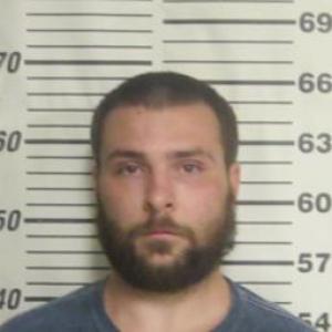 Brian David Ely Jr a registered Sex Offender of Missouri