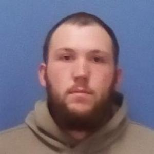 Brenden Anthony Diesing a registered Sex Offender of Missouri