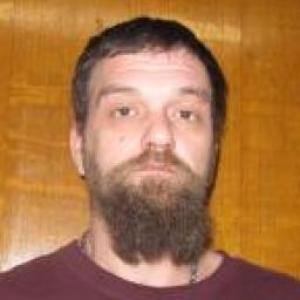 Dennis Robert Neeson a registered Sex Offender of Missouri