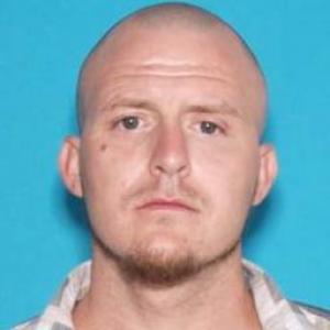 Michael Dale Meeks a registered Sex Offender of Missouri