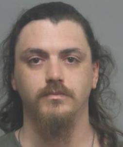 Michael Phoenix Lovins a registered Sex Offender of Missouri