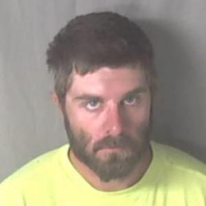 Dalton Carl Nickens a registered Sex Offender of Missouri