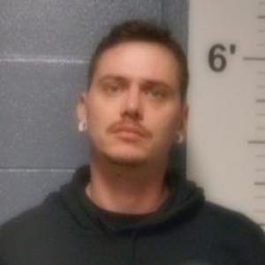 Robert Andrew Nelson a registered Sex Offender of Missouri