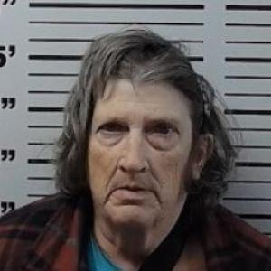 Lisa Gay Fiss a registered Sex Offender of Missouri