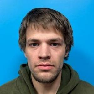 Vincent Troy Mcwilliams a registered Sex Offender of Missouri