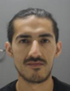 Luis Eduardo Martinez a registered Sex Offender of Missouri