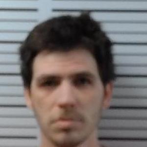Steven James Schoen a registered Sex Offender of Missouri