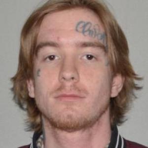 Blake Alexander Looney a registered Sex Offender of Missouri
