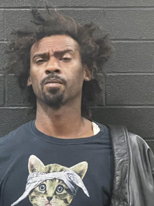 Rodney Dewayne Nettles a registered Sex Offender of Alabama