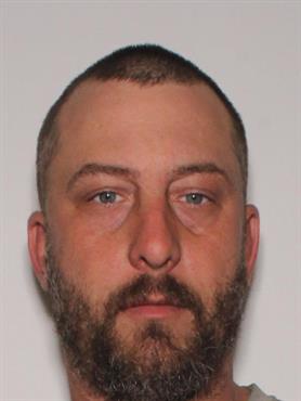 Dustin Michael Steen a registered Sex Offender of Arkansas