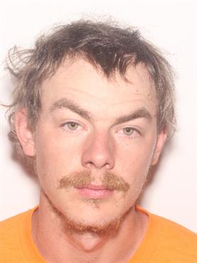 Dylan Andrews a registered Sex Offender of Arkansas