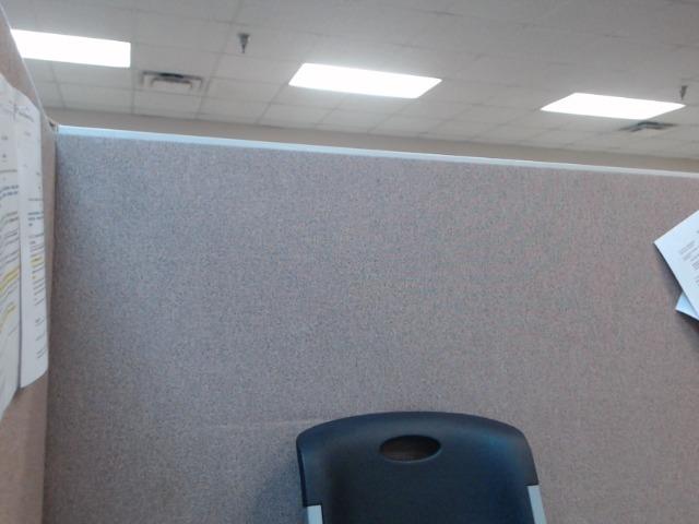 Tracey Dee Harm a registered  of Arkansas