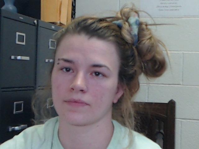 Pamala Ann Hoyt a registered Sex Offender of Arkansas