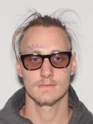 Nicholas Tovia Hamlin a registered  of Arkansas