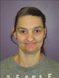 Brandi Nicole Fisher a registered Sex, Violent, or Drug Offender of Kansas