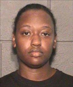 Brittany Marie Johnson a registered Sex, Violent, or Drug Offender of Kansas