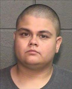 Christian Nicholas Gonzalez a registered Sex, Violent, or Drug Offender of Kansas