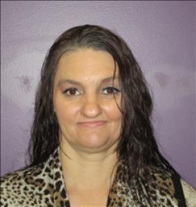 Brandi Nicole Fisher a registered Sex, Violent, or Drug Offender of Kansas