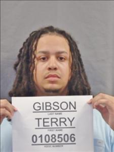 Terry Thomas Gibson Jr a registered Sex, Violent, or Drug Offender of Kansas