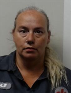 Julie Ann Tovar-rodriguez a registered Sex, Violent, or Drug Offender of Kansas