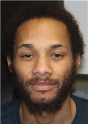 Louis Xavier Dixon a registered Sex, Violent, or Drug Offender of Kansas