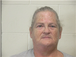Denise Ann Pressey a registered Sex, Violent, or Drug Offender of Kansas