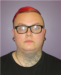 Damon Christopher Potts a registered Sex, Violent, or Drug Offender of Kansas