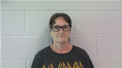 Denise Ann Johnson a registered Sex, Violent, or Drug Offender of Kansas