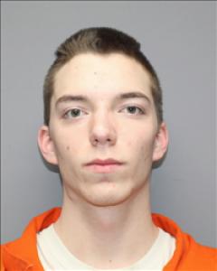 Brandon Michael Ogden a registered  of Kansas