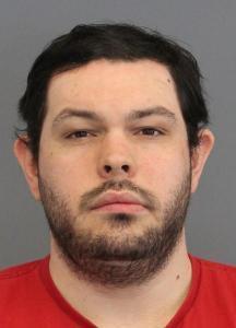 Dylan Andrew Nellenback a registered Sex Offender of Maryland