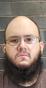 Ronald Anthony Ilich a registered Sex Offender of Ohio