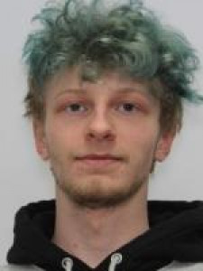 Dakota James Swisher a registered Sex Offender of Ohio