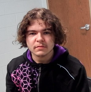 Brian Robert Vincent a registered Sex Offender of Ohio